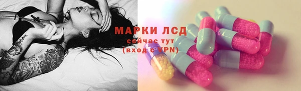 стаф Белокуриха