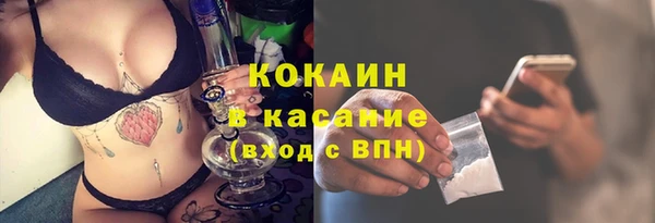 стаф Белокуриха