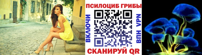 MEGA рабочий сайт Волосово Галлюциногенные грибы Magic Shrooms